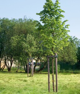 45 mm x 1300 mm Rundpfosten Vollmaterial mit Spitze grau aus Recyclingkunststoff, strukturiert, gemasert, VE: 165 St., Gewicht / Stück: 1,9 kg, Schadstofffrei nach DIN EN 71-3